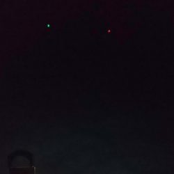 毎度です。人生２回目ヤリイカ釣り。