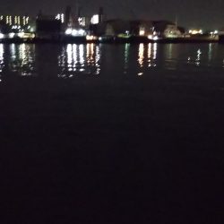 ぶら河川調査！！