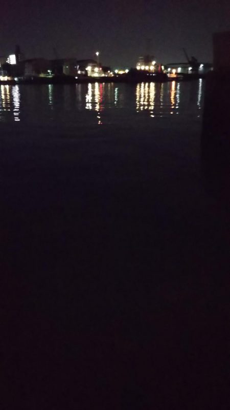 ぶらシーバス!!