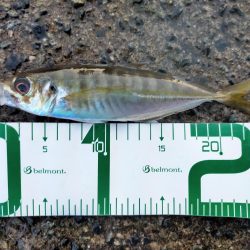 サイズは小型だけど