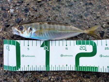 サイズは小型だけど