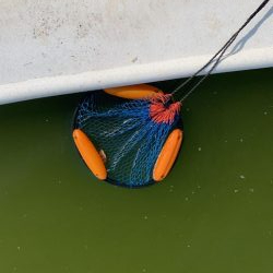 岸和田フィッシングパーク 祝日は