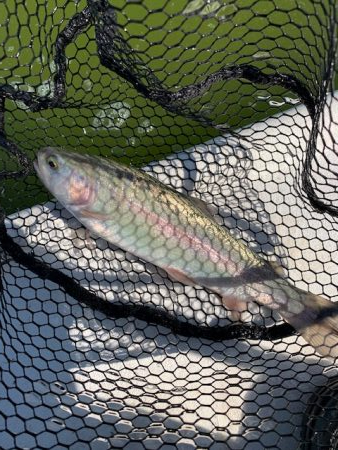 岸和田さんでボトム釣り