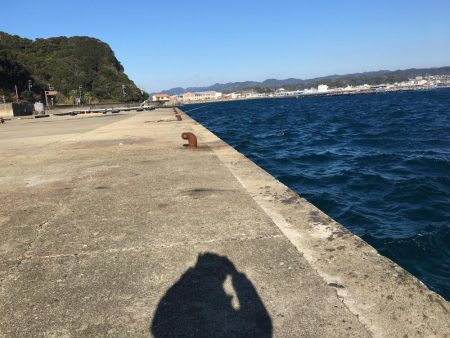 アジ10匹、アイゴ1匹