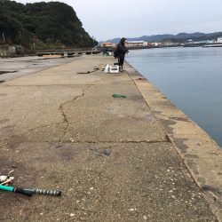 アジ53匹、ボラ60㎝1匹