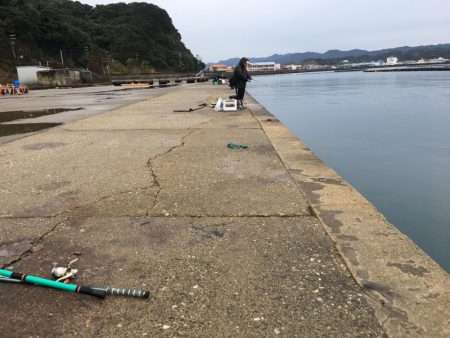 アジ53匹、ボラ60㎝1匹