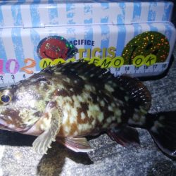 釣りデビュー 67日目