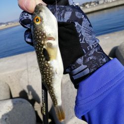 予定違いやけど結果オーライ