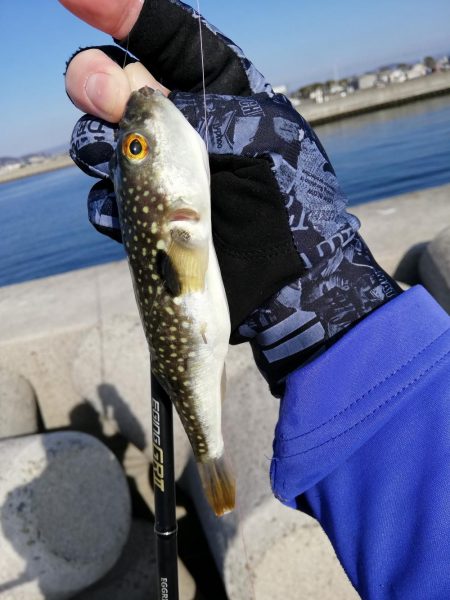 予定違いやけど結果オーライ