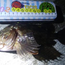 釣りデビュー 70日目