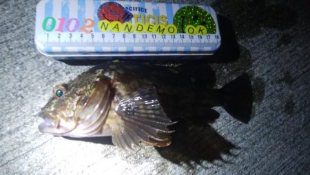 釣りデビュー 70日目