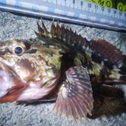 釣りデビュー 73日目