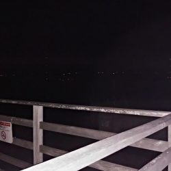 タフコンディション