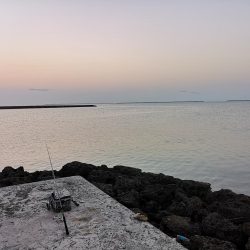 4日間通ってターポン釣れました