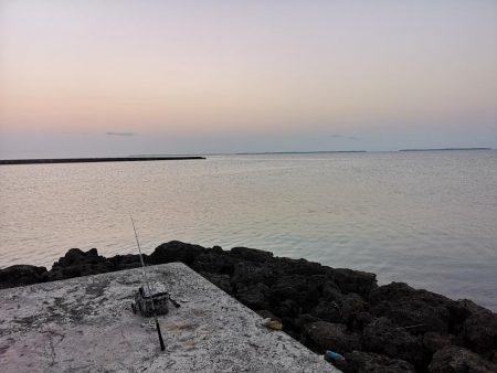 4日間通ってターポン釣れました