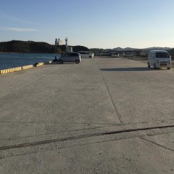 尺アジ2匹、ヒイラギ2匹