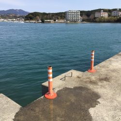 文里港でウォーキング　尺アジ1匹