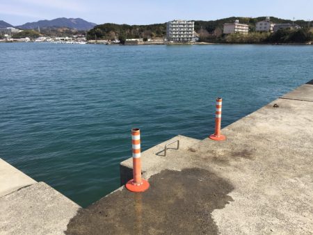 文里港でウォーキング　尺アジ1匹