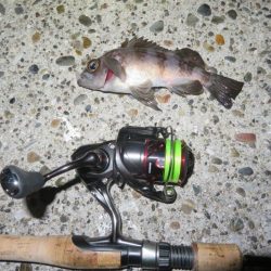 まだ早いのか!?