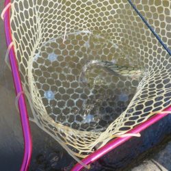 平日なのにスゴイ混雑！