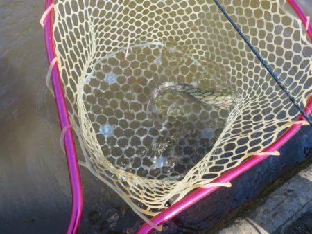 平日なのにスゴイ混雑！