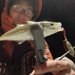 アジ、サバRIDEON！！