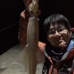 ヤリイカのRIDEON!!