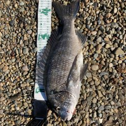 ボトムステイでRIDEON！