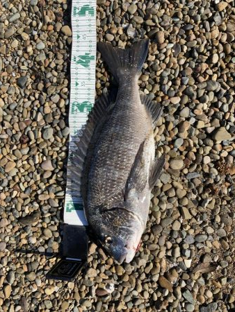 ボトムステイでRIDEON！