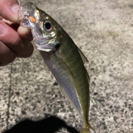 夜明け前のRIDEON！