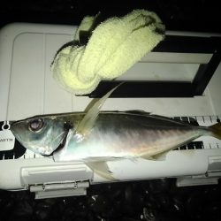 (尺足らず)フロートゲーム