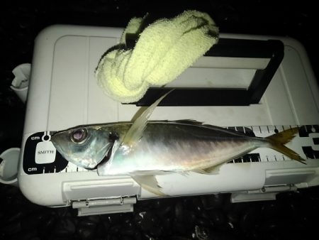 (尺足らず)フロートゲーム