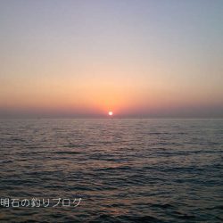 カサゴポツポツ