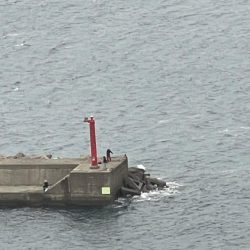 ショアジギでホッケゲーム