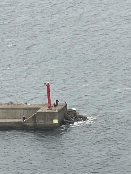 ショアジギでホッケゲーム