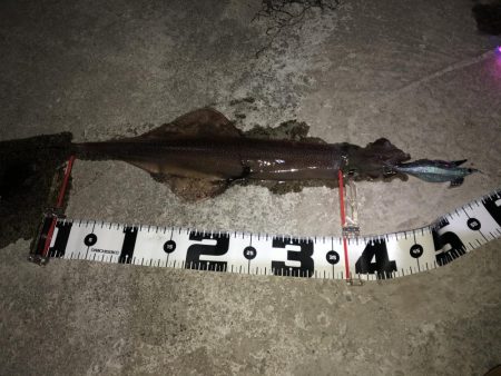 気温、風、最高