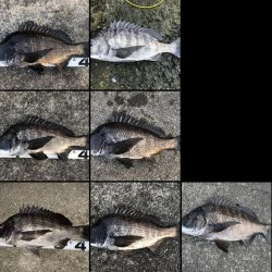 イチノ兄弟、釣果！