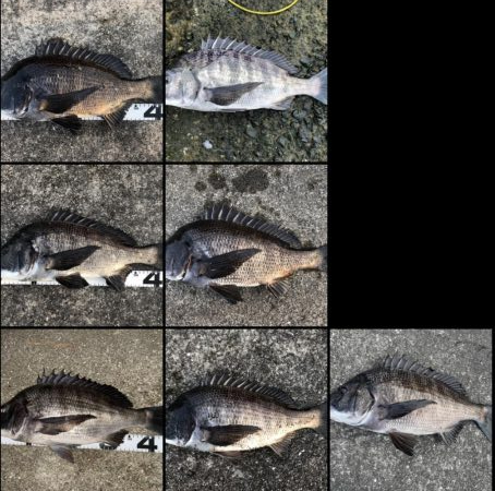 イチノ兄弟、釣果！