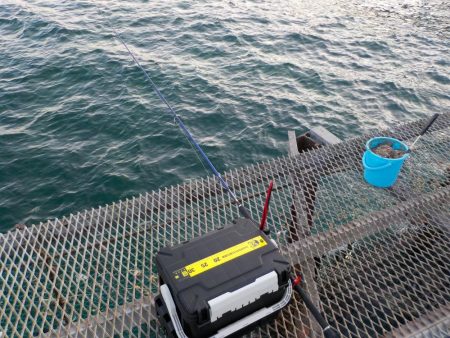 春よこい。まだ寒い