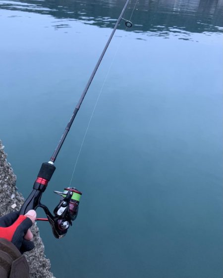 アジングのはずが…