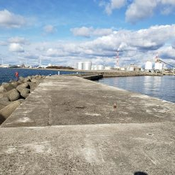 久しぶりの鰤属(^∇^)