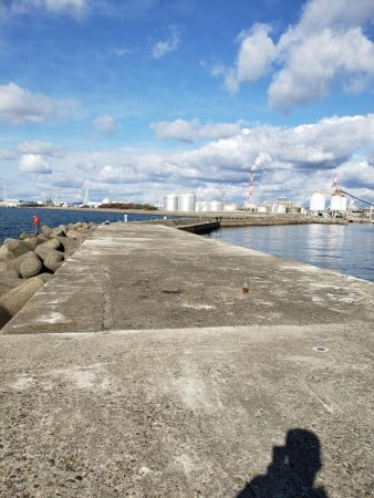 久しぶりの鰤属(^∇^)