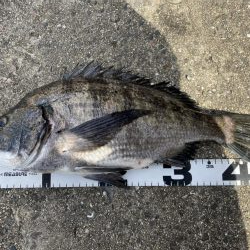 イチノ兄弟、釣果！