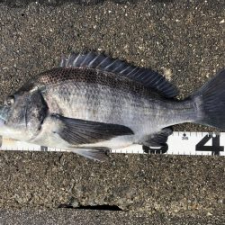 イチノ巨乳、釣果!