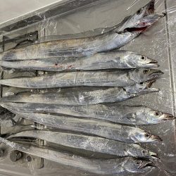 タチウオテンヤ