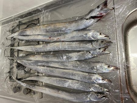 タチウオテンヤ