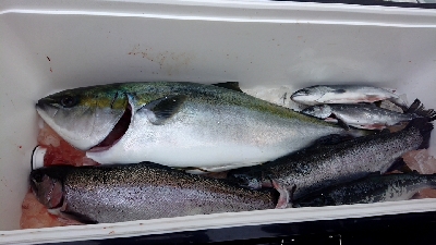 釣り堀すいほう