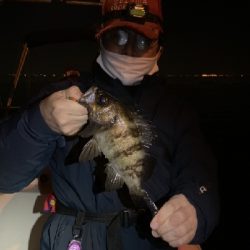 メバルプラッキングを本格的に