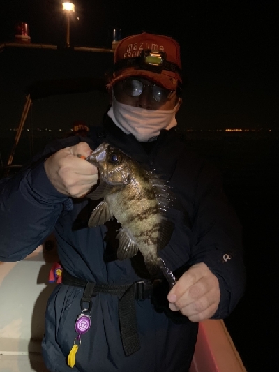 メバルプラッキングを本格的に