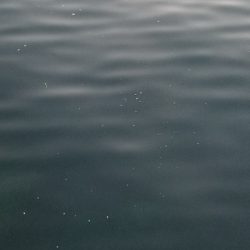 アジング)釣りで怖いのは人でした。